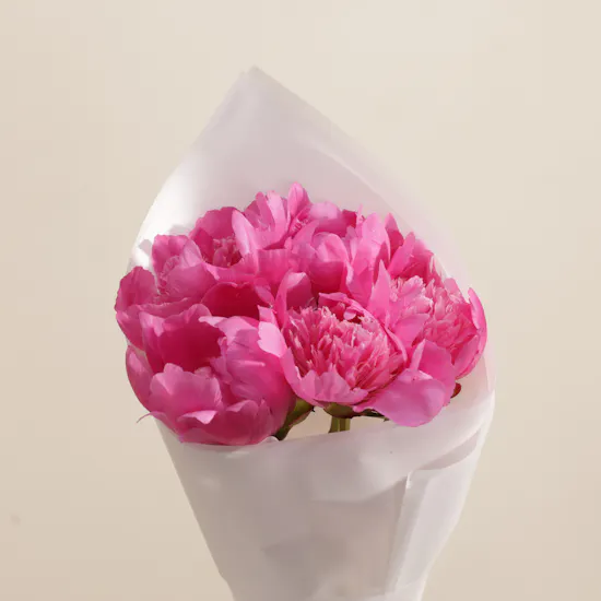 A Little Joy in Fuchsia Peonies