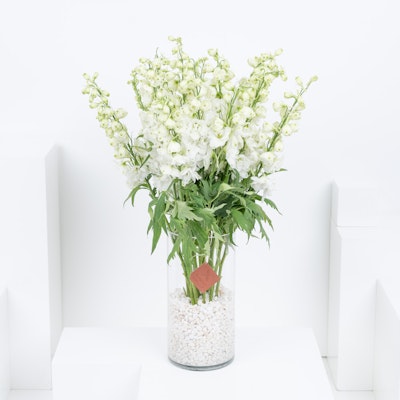 Elegant White | Cylinder Vase