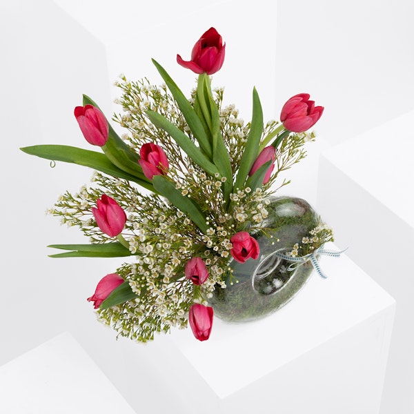 Beautiful Red Tulips Floward Abu Dhabi