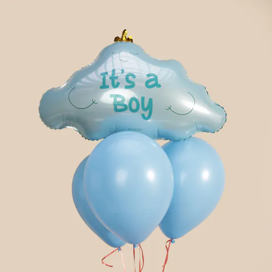 Little Prince Welcome Gift Set