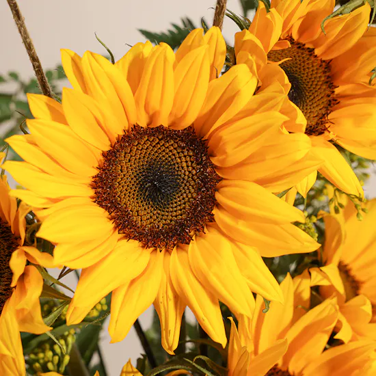 Golden Sunshine Flower Vase
