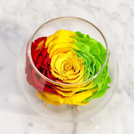 Symbol of Eternal Joy Preserved Rose Vase