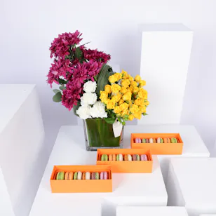 Ermine Macaron Trio Giveaways | Flower Vase