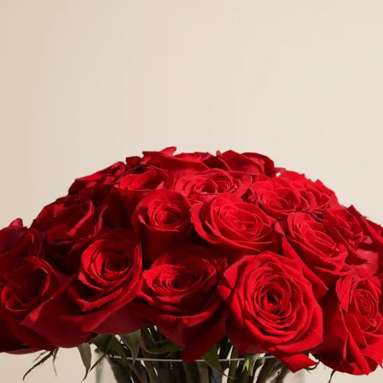 Breathtaking Red Roses Vase | 50 Roses