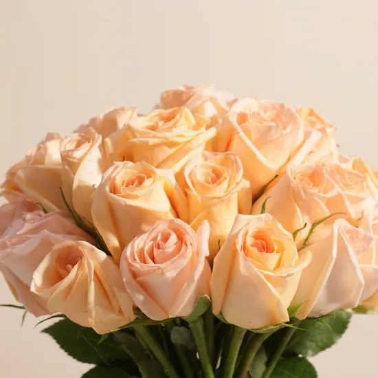Elegant Peach Rose Vase | 35 Roses