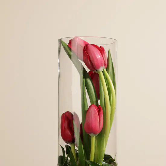 Shiny Red Tulip Vase