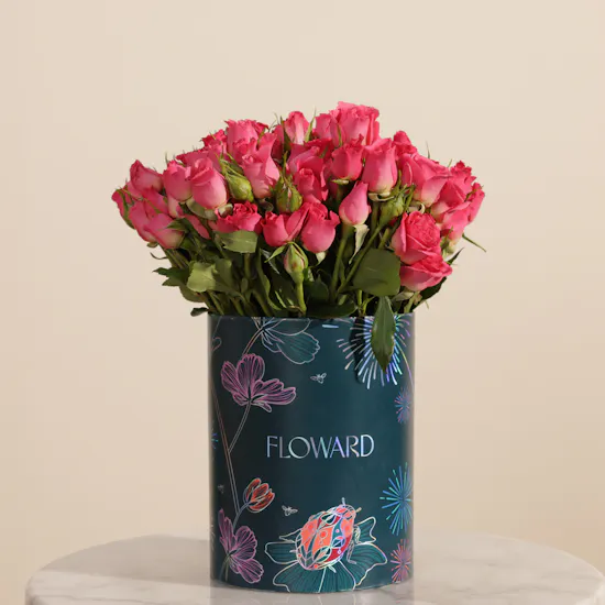 Fuchsia Muse Baby Rose Box | 25 Flowers