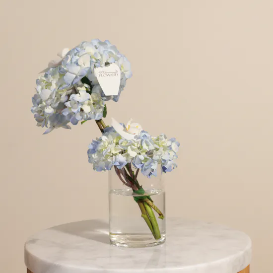 Breehant Coffee Crop Box | Magical Flowers Vase