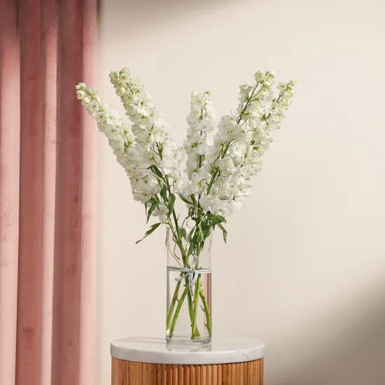 Pure Delphinium Vase