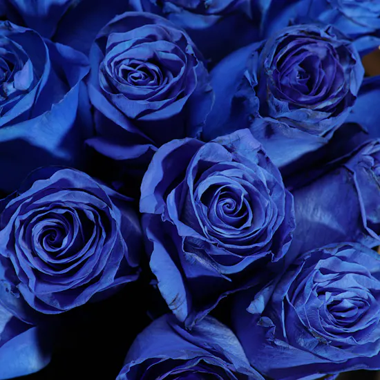 Royal Blue Rose Bouquet
