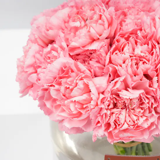 Plush Bear | Carnations Vase