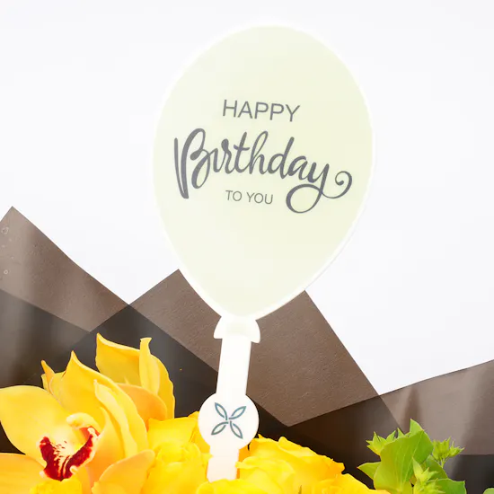 Birthday Magical Beauty | Black Wrap
