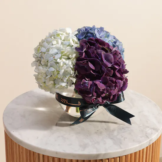 Whispers of Romance Hydrangea Vase