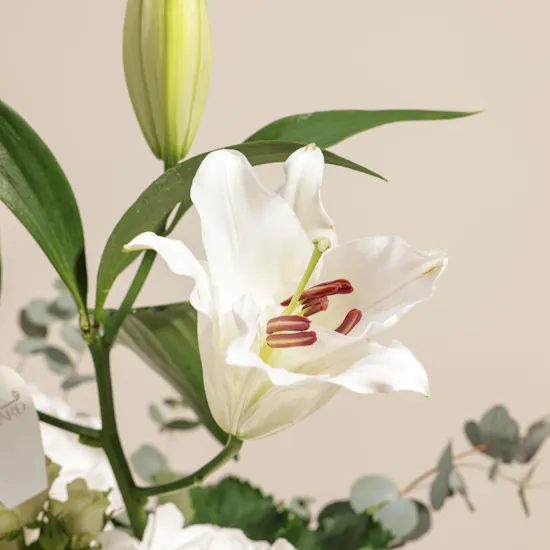 Celestial White Harmony Flowers Vase By September Studio