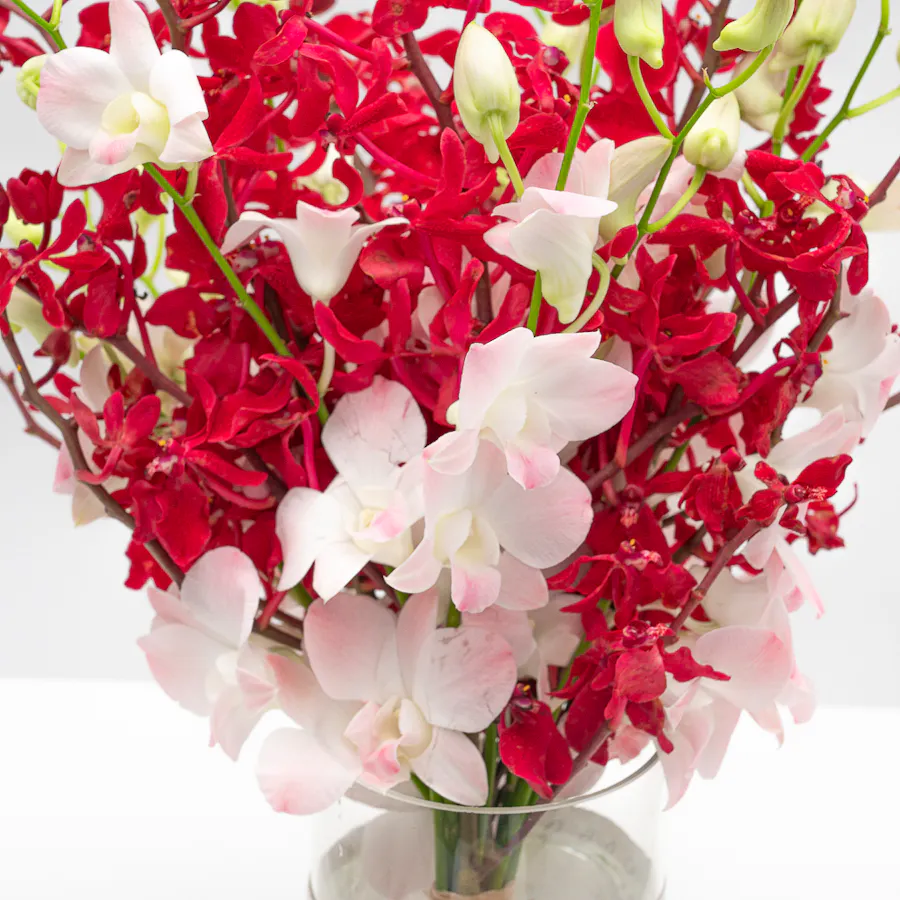 Munch Bakery Dream Cake | Orchid Vase 4