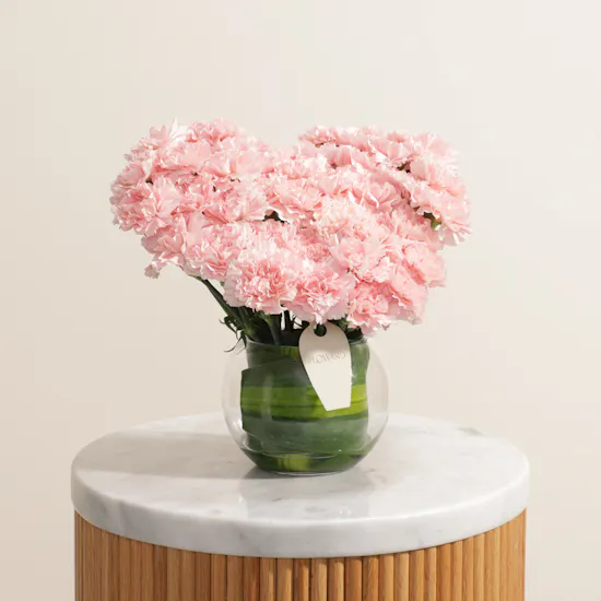 Graceful Pink Carnation Vase