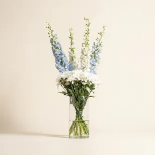Serenity Flowers Vase Serenity Flowers Vase