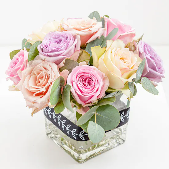 Pastel Promise