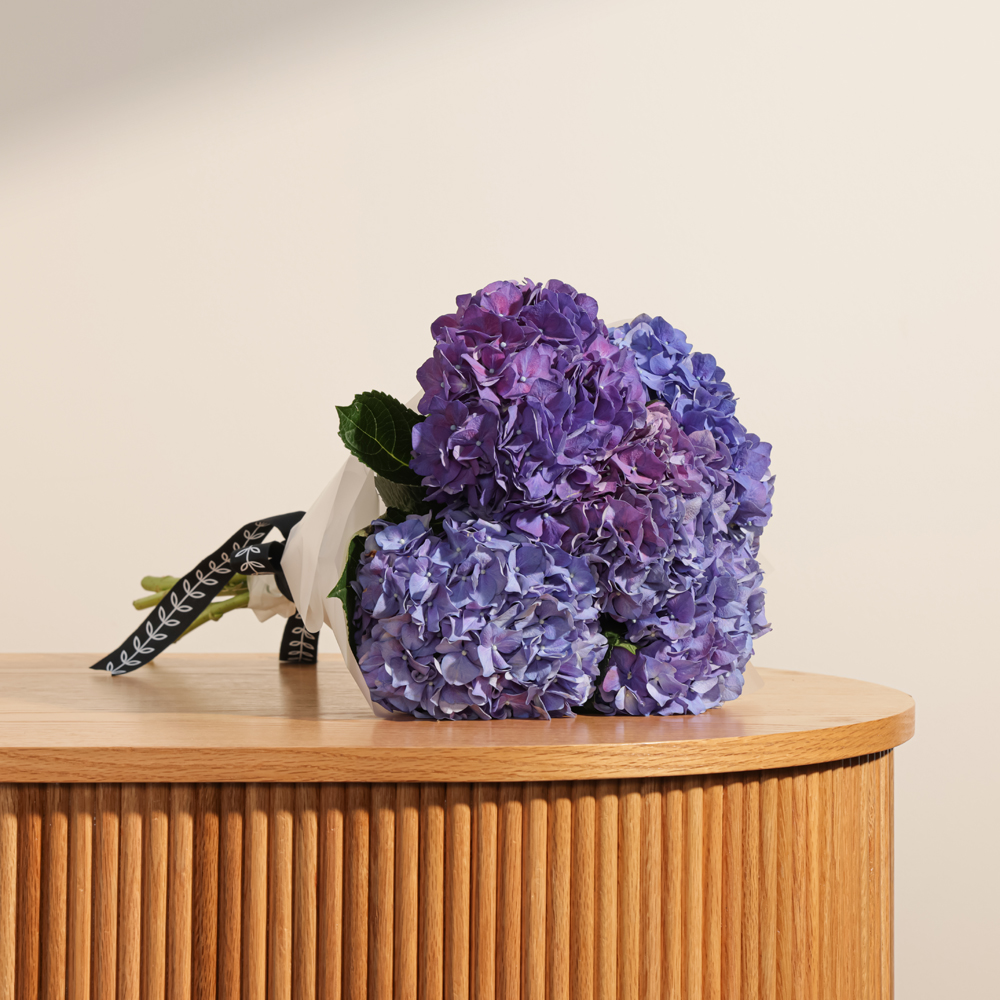باقة زهور هيدرانجيا بنفسجية ملكية