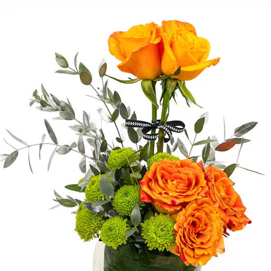 Huwaids Lotus Cheesecake | Sunrise Vase