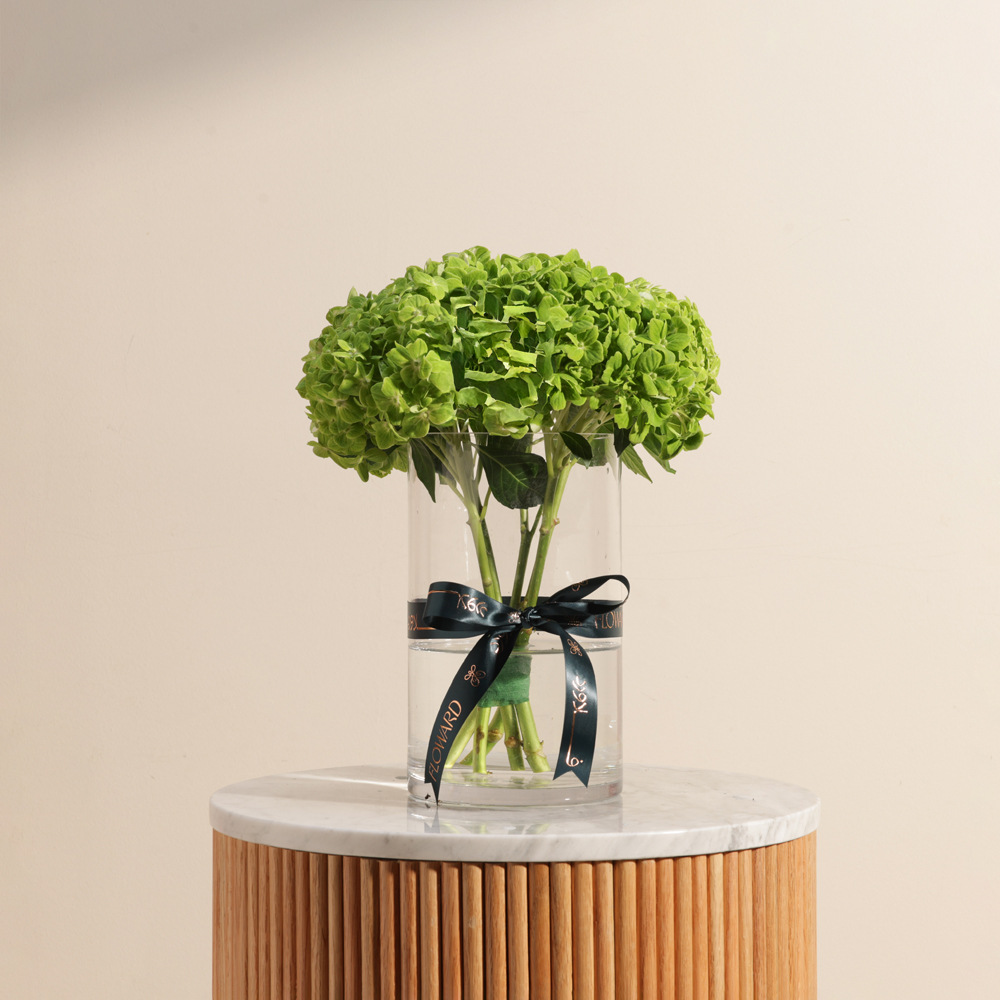 Fresh Green Hydrangea Vase