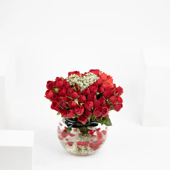 Adoration | 20 Baby Roses