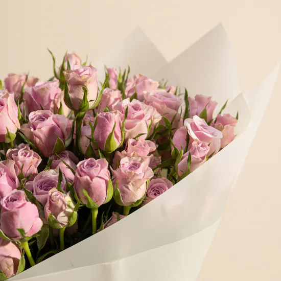 Dewy Elegance Purple Baby Roses Bouquet | 12 Flowers