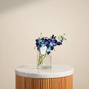 Shiny Baby Orchid Vase | 5 Flowers Shiny Baby Orchid Vase | 5 Flowers