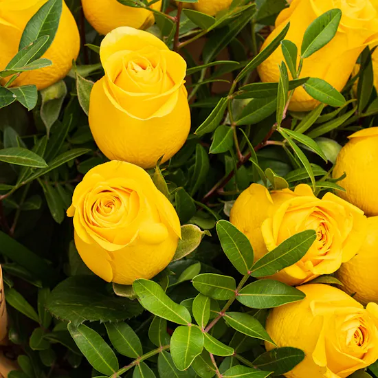NJD Assorted Sweets Tray | Yellow Roses Bouquet