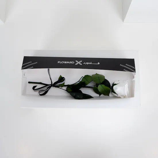 Preserved White Rose | Box