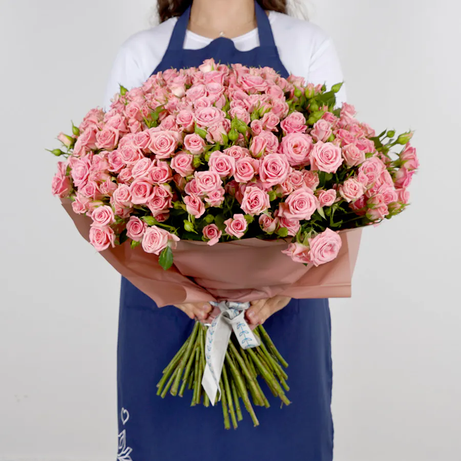 100 Pink Baby Roses V 3