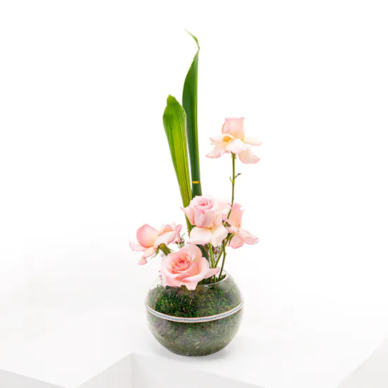 Rose light pink vase