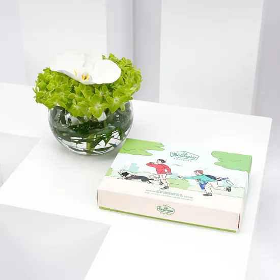 The Face Shop Dr. Belmeur Advanced Cica Recovery Cream Set with Blooms Vase
