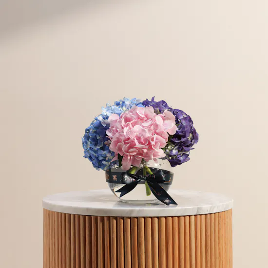 Colorful Hydrangea Vase