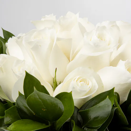 Wedding White Roses | 30 Roses