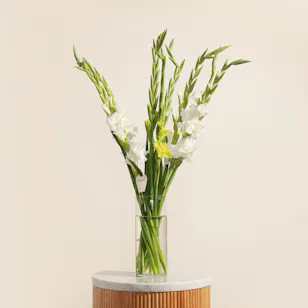Bright Gladiolus Vase