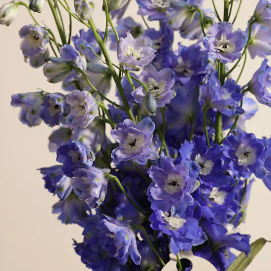 Moonstone Bloom Flower Vase