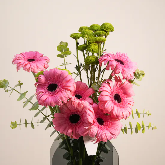 Pink Harmony Gerbera Vase