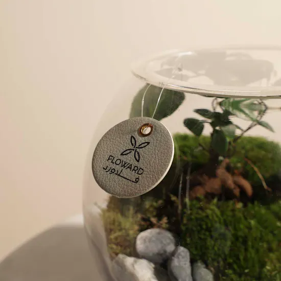 Stunning Terrarium Vase