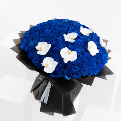 Azure | Black Wrap