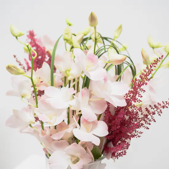 Feel Good Tea Original Discovery Box | Soft Blooms Vase