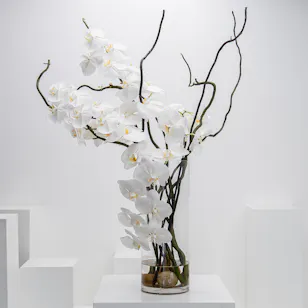 Elegant Orchid | Glass Vase Elegant Orchid | Glass Vase