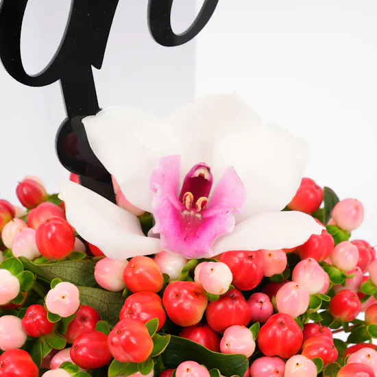 Get Well Soon | Flowers