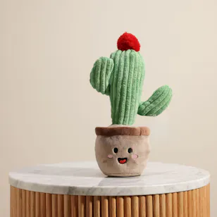 Floward Green Cactus Toy Floward Green Cactus Toy