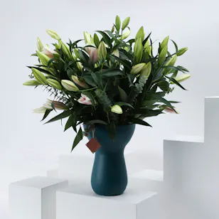 Fancy Lilly's | Ceramic Vase