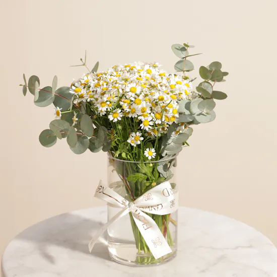 Raff by Paris Spa Signature Manicure and Pedicure Gift Voucher | Spirited Flower Vase