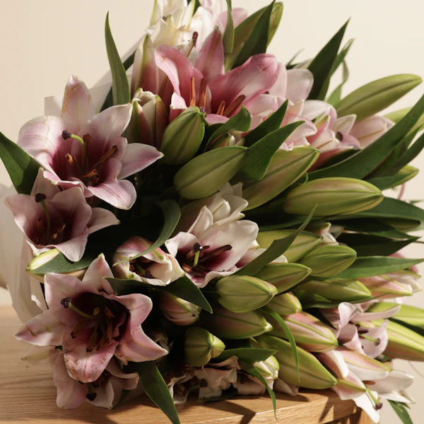 Blushing Pink Lily Bouquet | 18 Flowers