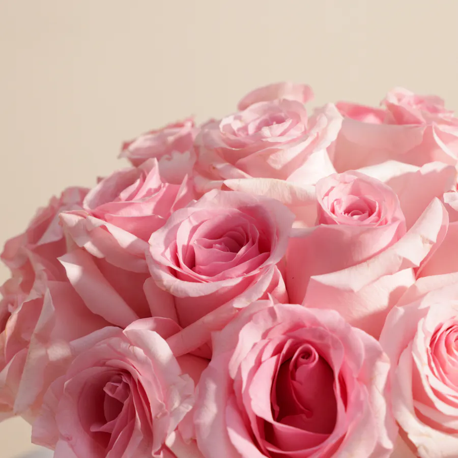 Gorgeous Pink Rose Vase | 25 Roses 5