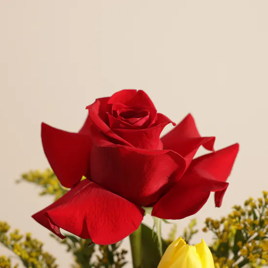 Anoosh New Salted Caramel Chocolate Box | Floral Magic Vase