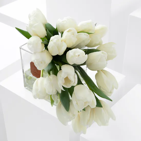 Beautiful White Tulips Vase
